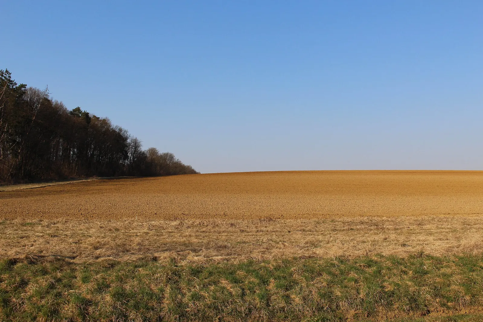 Sonniges, ebenes Grundstück in Deutschlandsberg
